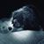 Philip Quaglino's profile image