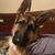 Kathy Smith Hale's profile image