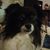 Karen Curby Earley's profile image