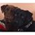 Shannon Deer Kilpatrick's profile image