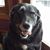 Barb-Terry Schmidt's profile image