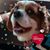 Alissa Fink's profile image