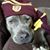 JoLynn Stevens Shriber's profile image