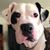 Glenn Davis's profile image