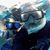 JoAnn McDonough Cosma's profile image