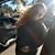 Misty Schultz's profile image