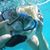 Heidi Holman Brownlee's profile image
