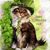 Edwinna Overfield Harrod's profile image