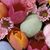 Melody Hollin's profile image
