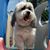 Heidi Cappelluzzo's profile image