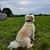 Tanya Sunshine's profile image
