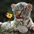 Luis Martinez's profile image
