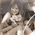 Tiffany Mills's profile image