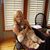 Kim Berwald-Viar's profile image