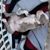 Johan Einstien Oropeza's profile image