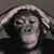 W.j. Bartley's profile image