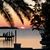 Terri Visco's profile image