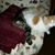 Doris Taylor's profile image