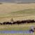 Linda Strock's profile image