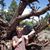 Jane Blount Vickroy's profile image