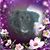 Kim Fellion Heideman's profile image
