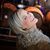 Tina Holman's profile image