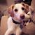 MaryBeth Johnson's profile image