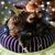 Martina Dezarea's profile image