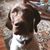 Sheryl Harrigan's profile image