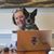 Amy Korney Hotz's profile image