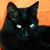 Mary Doucet's profile image