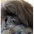 Alice Pettyjohn's profile image