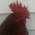 Matt Warmbrod's profile image