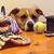 Andrea Westermann's profile image