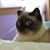 Maria Andrews's profile image
