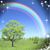 Dolores Bradberry's profile image