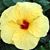 Margaret Brennan Sutliff's profile image