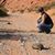Maureen Gass's profile image