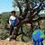 Sharon D Drake's profile image