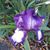 Randy Howlett's profile image