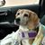 Sandra Bates's profile image