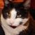 Perry Townsend's profile image