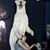Carla Kline Rock's profile image