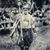Jess Pi Kight's profile image