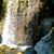 Marley Ziggy's profile image
