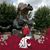 Gary Thompson's profile image