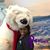 Karen Daniels's profile image