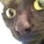 Lucy Hunt's profile image