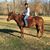 Alissa Luthart's profile image