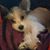 Deb Teague's profile image